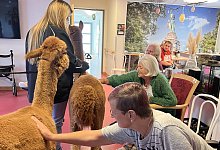 alpakas-wk - Kreissenioreneinrichtungen Lippe GmbH