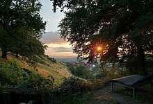 abendstimmung-bei-malereiche - VHS Lippe-Ost