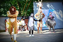 Madagascar - Nicole Ellerbrake