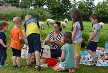 Die Kinder d&uuml;rfen Marlen Tilleke beim Zubereiten des Futters f&uuml;r die Schafe helfen. - Karin Prignitz