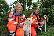 Sp&uuml;rhunde - Nico D&uuml;llmann