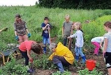 image001 - Ackerbildung