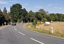 nl_ba_katzenunfall01 - Sylvia Frevert