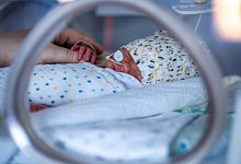 Bundestags-Petitionsausschuss ber&auml;t &uuml;ber &laquo;Extrem-Fr&uuml;hchenvers - picture alliance/dpa