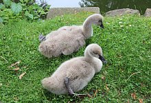 img_5947 - Jana Beckmann