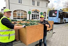 Weihnachtsbeleuchtung - Wolfgang J&auml;ger/Lemgo Marketing