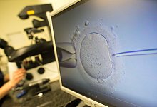 K&uuml;nstliche Befruchtung - picture alliance