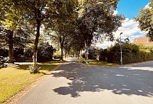 pmdps_04072022 - Die Partei