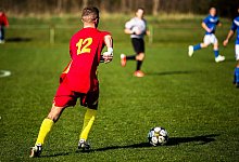 soccer-1331843_1280 - Pixabay/philippkofler