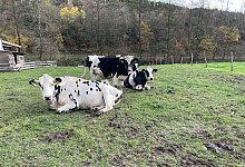 gloria-links-friederike-mitte-1 - Verein Kuh im Gl&uuml;ck