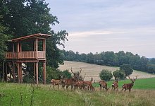 aussichtsplattform-fertig - Rudolf Diekmeier