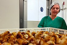 2023_62_dorksen_vor_kuken_1 - TH OWL