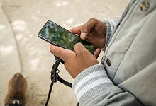 Smartphone - picture alliance / dpa-tmn