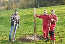 freibad-baume - Fotorechte: Freibad Schieder-Schwalenberg