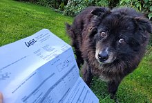 20220923_083528 - 1 - 1 - Astrid Sewing