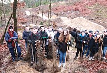 GetAttachmentThumbnail - Knut Dinter