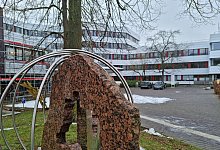 20230123_121753 - CAROLIN BROKMANN-FÖRSTER