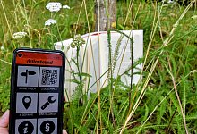 liternatur_beitragsbild - Bildrechte: Literaturb&uuml;ro OWL