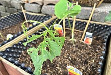 img_3799-1 - Eike Horstmann