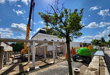 Kurhaus Bad Salzuflen - Freya Köhring