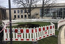 IMG_4558 - Sven Kienscherf