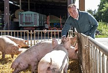 Immer wieder im Fokus: Clemens T&ouml;nnies und sein Fleischunternehmen. - dpa