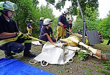 Gro&szlig;tierrettung - Nicole Ellerbrake