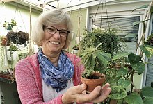 nl_do_wiegel02 - Sylvia Frevert