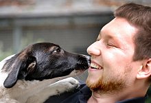 Der kleine Cooper ist erst sechs Monate alt und stammt aus Rum&auml;nien. Auf dem Arm von Tierpfleger Julian Otte zeigt der Welpe sein gro&szlig;es Herz f&uuml;r Menschen. Cooper sucht noch ein Zuhause. - Andreas Fr&uuml;cht