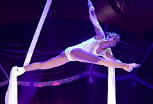 Circus Arena - Nicole Ellerbrake