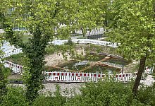 Loch - Alexandra Schaller