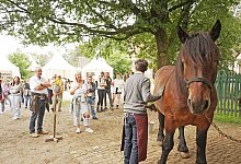 103972 - LWL/Robin Jähne