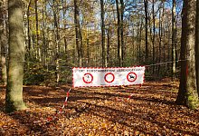 Lemgoer Stadtwald - Stadt Lemgo