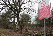 Stapel - Archivfoto: Dieter Asbrock