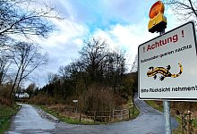 feuersalamander1 - Kurt Ehmke