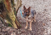 20240220_1537431 - Fotorechte: LZ