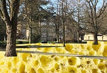 img_0936 - Foto: Jana Beckmann/Montage: Oliver Wendtland