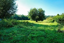 dscf0010 - Sven Koch