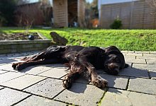 20240229_103336 - Carolin Brokmann-F&ouml;rster