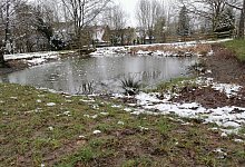 nl_ex_fischsterben01 - Sylvia Frevert