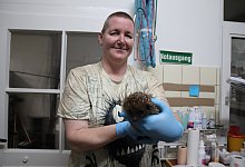 img_5975 - Susanne Blersch