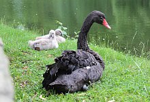 img_5944 - Jana Beckmann