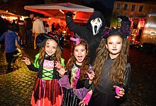 nic_3908b - Nicole Ellerbrake