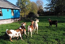 img_20221101_141705 - Marianne Schwarzer