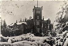 sa_steinbeck - Sammlung Wiesekopsieker