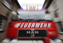 Von Uhu bis Natter haben die Retter alles schon gesehen. - Symbolbild: David Schellenberg