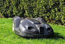 grass-3318933 - Pixabay