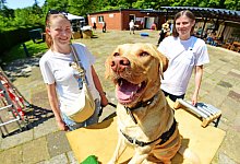 Tag des Hundes - Nicole Ellerbrake