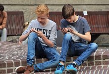 Teil 2: Keine Schule ohne Handy-Verbot - natureaddict/pixabay