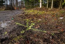 Unfallstelle - Freitag TV